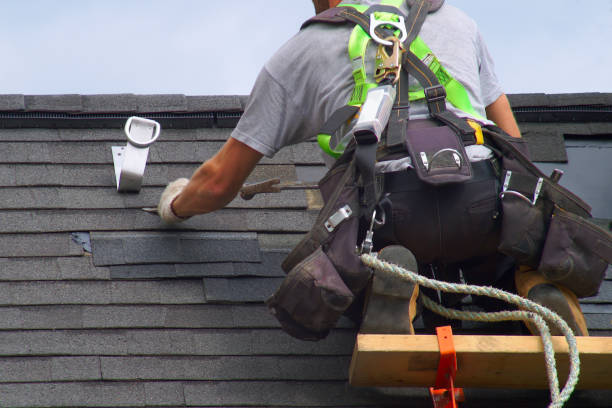 Best Gutter Installation and Roofing  in La Nte, MO