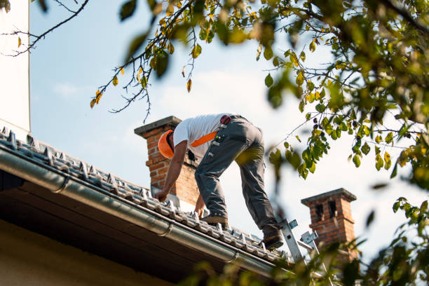 Best Roofing Contractor Near Me  in La Nte, MO