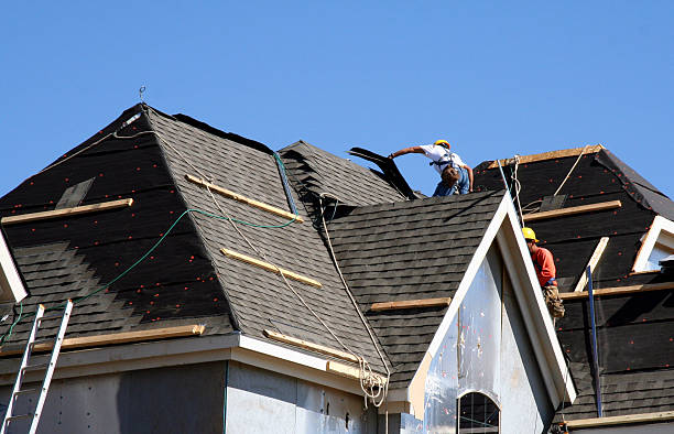 Best Roof Restoration Services  in La Nte, MO