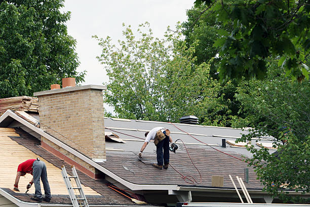 Best Metal Roofing Contractor  in La Nte, MO