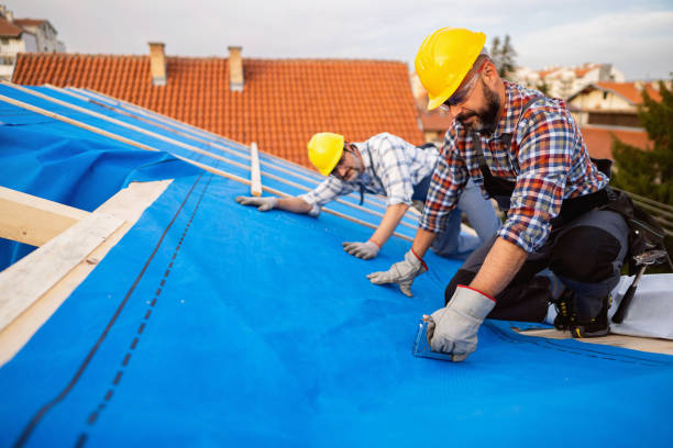 Best Commercial Roofing Services  in La Nte, MO