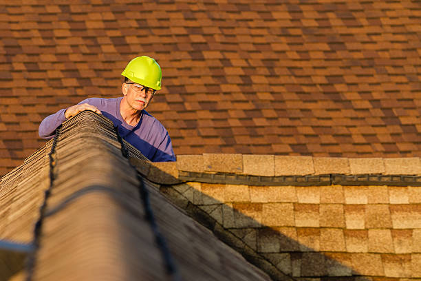 Best Commercial Roofing Services  in La Nte, MO