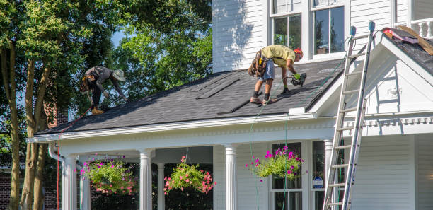 Best Local Roofing Companies  in La Nte, MO